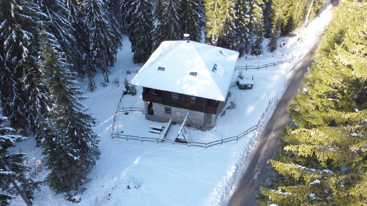 Apartments Villa Vesna Pokljuka Goreljek Bagian luar foto